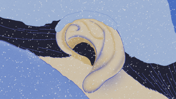 모두, 귀로 / Into the Ear, Everybody.